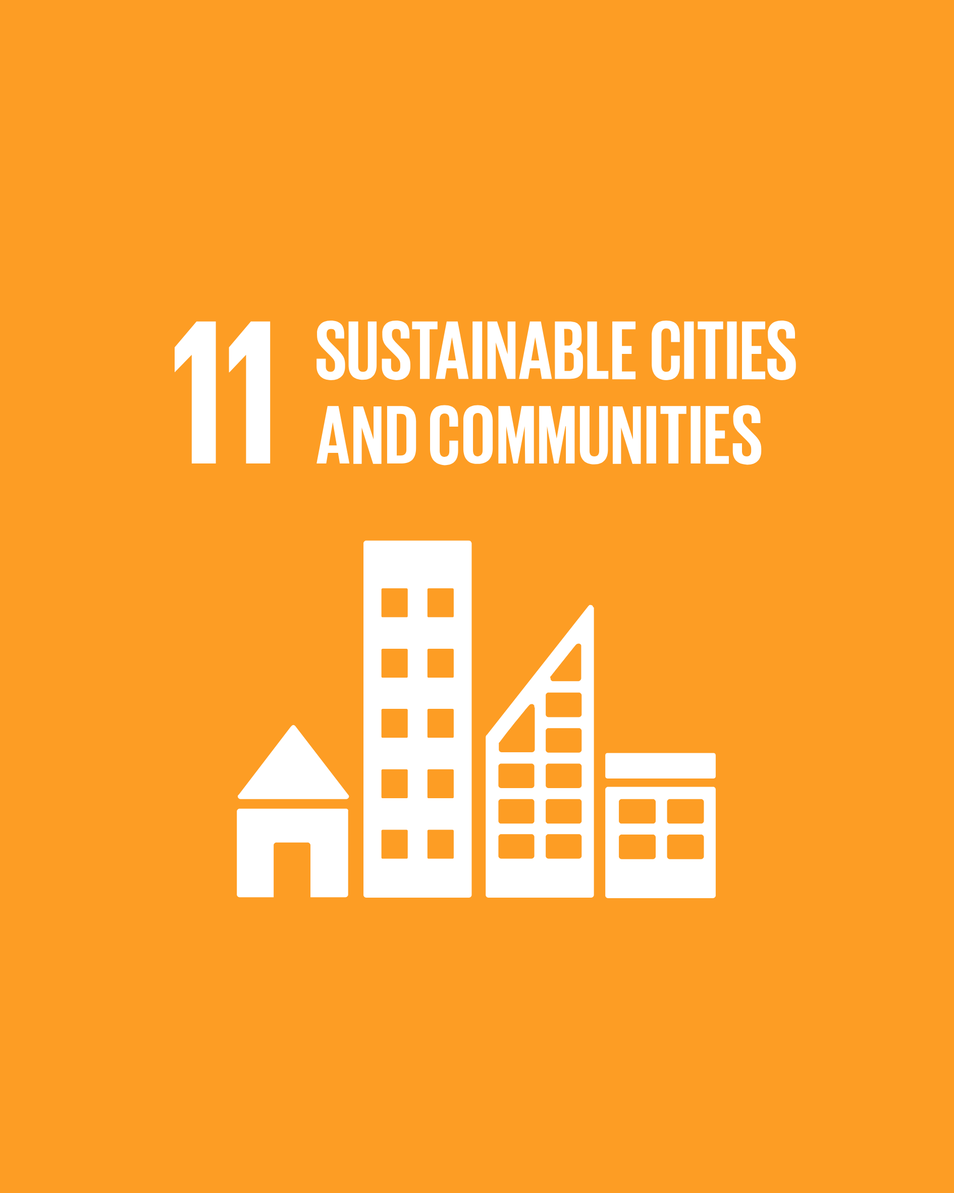 SDG 11