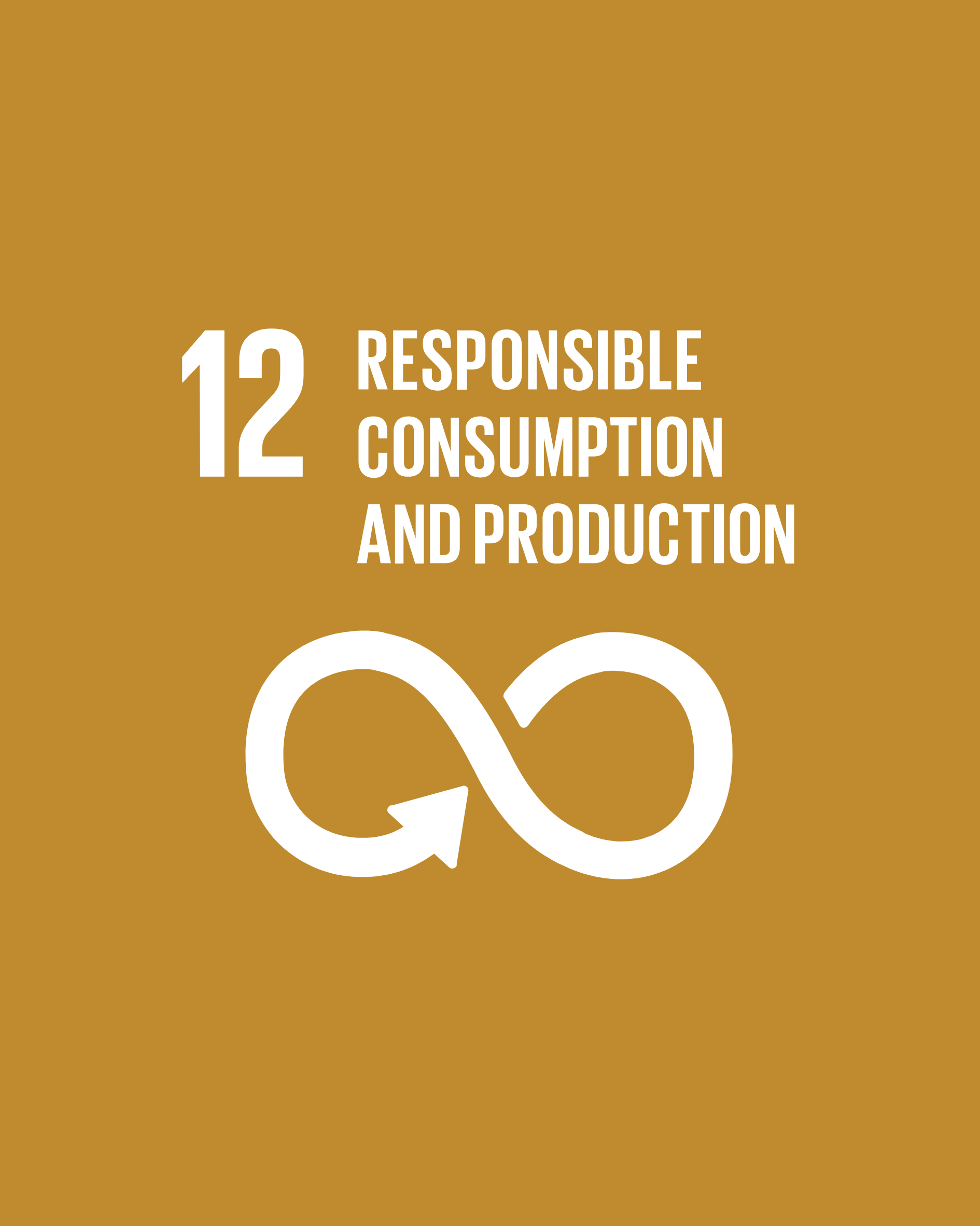 SDG 12