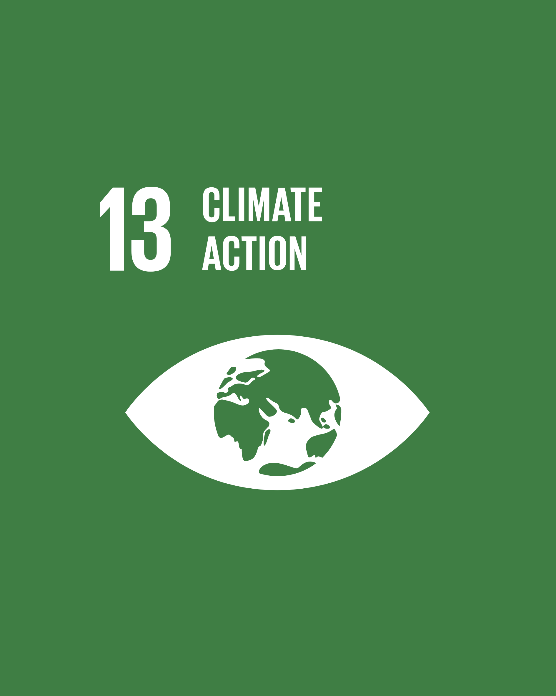 SDG 13
