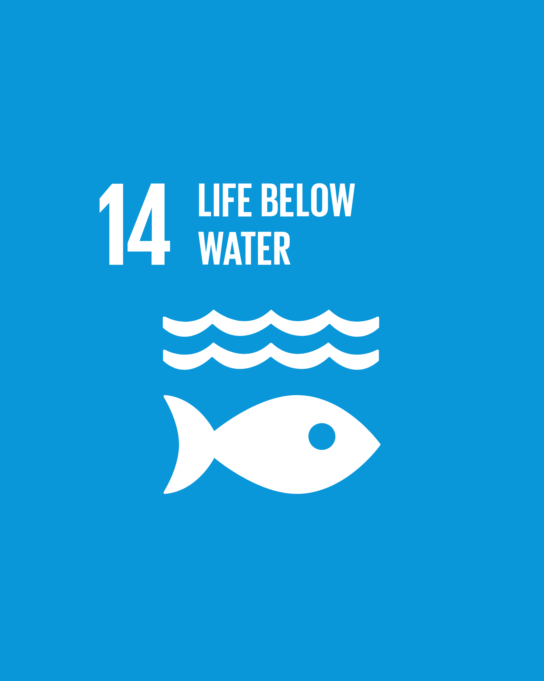 SDG 14