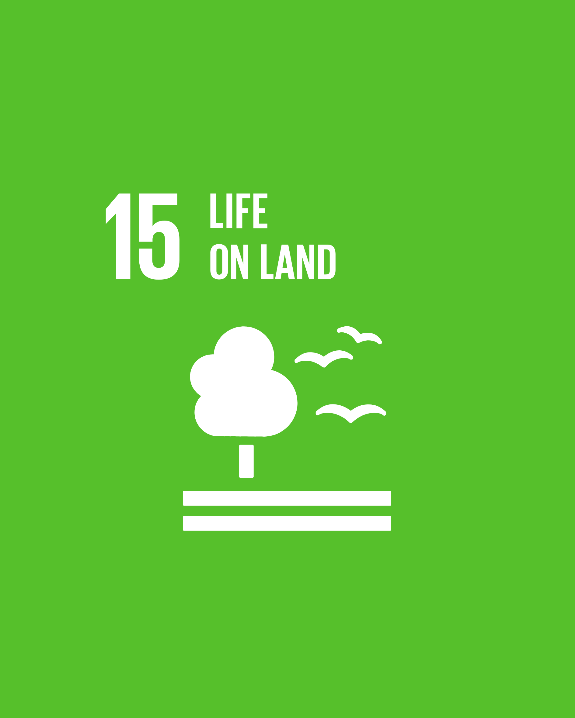 SDG 15
