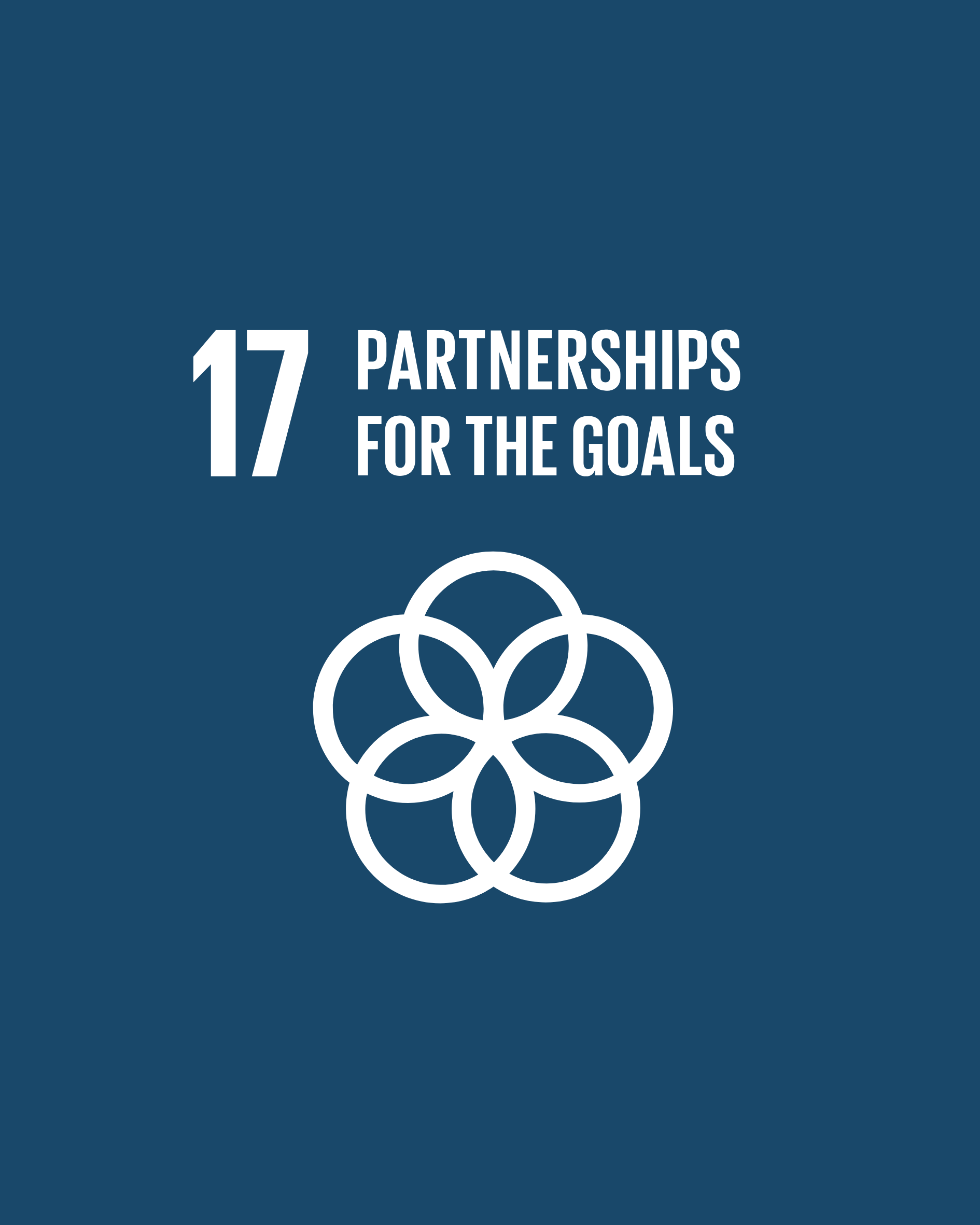 SDG 17