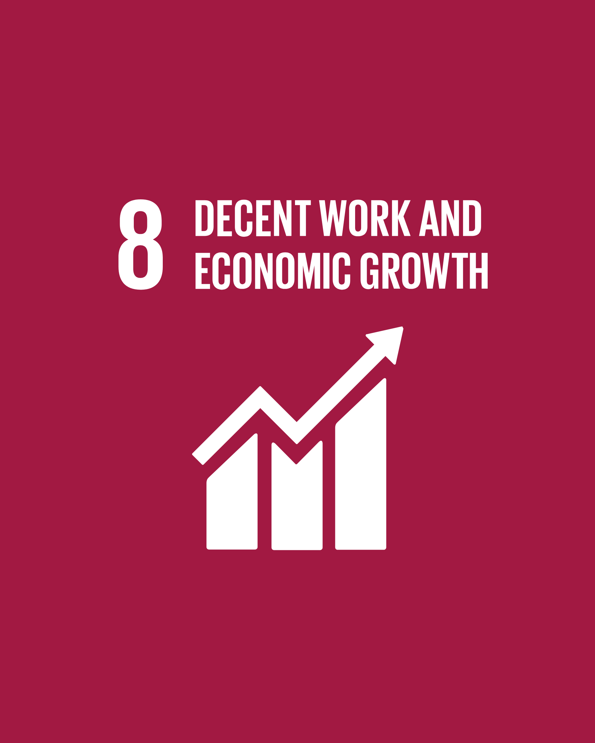 SDG 8
